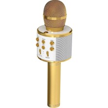 Bategen Karaoke Mikrofon Dahili Hoparlörlü USB Flash Tf Kart Destekli Ses Değiştirme Efektli Çocuk Mikrofonu