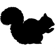 Beta Moda Hub Sevimli Sincap Tasarım Oto Sticker Siyah 10*10 cm