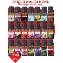 Harmoni Eko Set Esansiyel Uçucu Yağ Buhurdanlık Yağı Difüzör Esansı Aromaterapi  Koku Yağı 21x10 ml