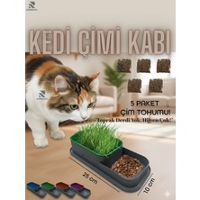 Romingo Kedi Çimi Kedi Otu Kedi Çimi Kabı 5 Paket Çim Tohumu Hediye