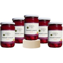 Fermente Mutfağım 5'li Pancar Turşusu - Kırmızı Pancar + Şalgam + Mor Havuç Lakto Fermente 600 ml