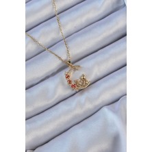 SHC4200 316L Çelik Zincir Altın Renk Kırmızı Gül Detay Kedi Figür Zirkon Taşlı Ay Kolye