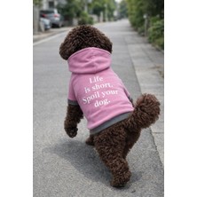 Alphadog Lila Polarlı Küçük Irk Köpek Sweatshirtü 5 (9 Kg-12 kg Arasına Uygun)