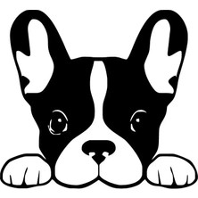 Beta Moda Hub Camdan Bakan Köpek Oto Sticker Siyah 30 x 27 cm