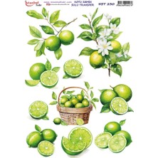E Hobici Koyu Zemin Sulu Transfer Kağıdı 25X35CM KST-230 Limon