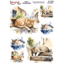 E Hobici Sulu Transfer Kağıdı 25X35CM ST-1600