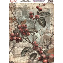 E Hobici Pirinç Dekopaj Kağıdı 30X42CM PT-627 Çiçek Meyve