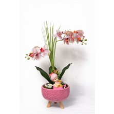 Akland Minik Mucize | Hoşgeldin Bebek Ayaklı Saksı Orkide Tasarımı (Pembe)