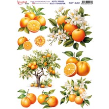 E Hobici Koyu Zemin Sulu Transfer Kağıdı 25X35CM KST-228 Portakal