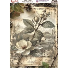 E Hobici Pirinç Dekopaj Kağıdı 30X42CM PT-617 Gül Çiçek