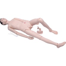 EgeAnatomi Maketleri Hasta Bakım Mankeni (Hemşirelik Uygulama Mankeni), Erkek