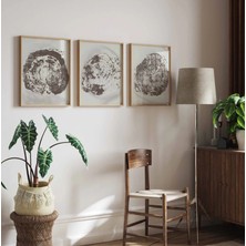 Pam Studio Bej Kahverengi Ağaç Desenli 3’lü Tablo Seti – Modern Doğal Minimal Duvar Dekoru