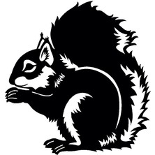 Beta Moda Hub Sincap Model 2 Oto Sticker 25 x 27 cm