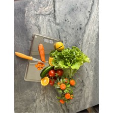 Ecovibe Kaliteli Kesme Tahtası Paslanmaz Çelik (304) Doğrama Antibakteriyel Çelik Kesme Tahtası