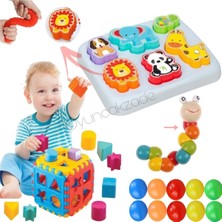 Oyuncakzade Duyu Oyuncakları Sevimli Hayvanlar Bultak Esnek Tırtıl Bul Tak Puzzle Havuz Topu Pop Tube Hediye