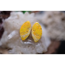 Aries 6.05CT 13.7X7MM Natural Bumble Bee Pair