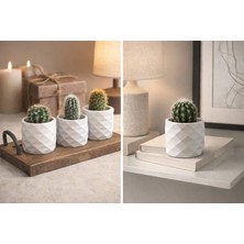 Mn Ticaret Prizma Silindir Sukulent Saksılık 3lü Set-Siyah