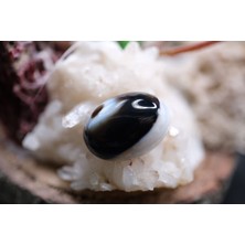 Aries 11.60CT  17.8X12.9MM Natural Banded Agate