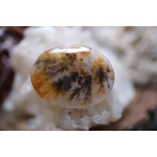 Aries 13.90CT 22.1X16.7MM Natural Dentric Agate