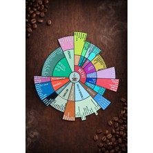 Saes Labs Kahve Tadım Çarkı Magnet - Türkçe