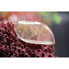 Aries 41.40CT 36.2X18.1MM Natural Golden Rutilated Quartz