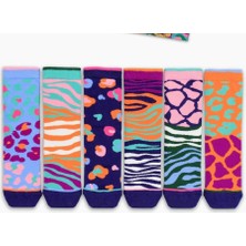 Heritage Nature Hnsocks Renkli Çorap Mafyası Hn Socks Get Spotted Desenli Kadın 5li Çorap Seti Hediye Kutulu