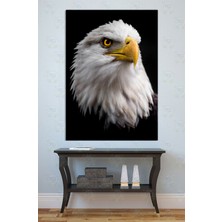 Mgi Design Heybetli Kartal Portresi Kanvas Tablo Duvar Dekoru Özgürlük Liderlik Hayvan Figürü