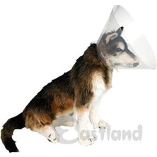 Üreticiniz Eastland Köpek Kedi ve Köpek Elizabeth Yakalığı 25 cm 481348