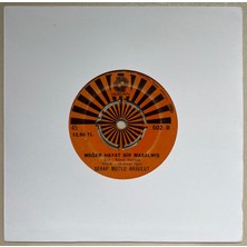 Doğan Plak Serap Mutlu Akbulut Meğer Hayat Bir Masalmış - Bir Dünya Yarattım  45 Lik Plak (Orijinal Dönem Baskı)