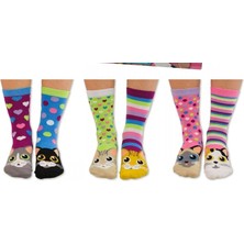 Heritage Nature Hnsocks Renkli Çorap Mafyası Hn Socks Catwalk Sevimli Kedi Desenli Unisex Renkli 5li Çorap Seti Hediye Kutulu