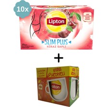 Lipton Slim Plus Kiraz Saplı Bardak Bitki ve Meyve Çayı x 10 Adet + Hediye Lipton Kupa