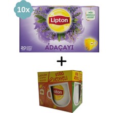 Lipton Adaçayı Bardak Bitki ve Meyve Çayı x 10 Adet + Hediye Lipton Kupa