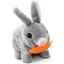 InTrio Pilli Sesli Zıplayan Havuçlu Tavşan Oyuncak – Yumuşak Dokulu, Sevimli Tasarım