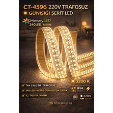 Dmc 220V Trafosuz Yapışkanlı Dış Mekan Şerit LED – Günışığı 3 M / 5 M