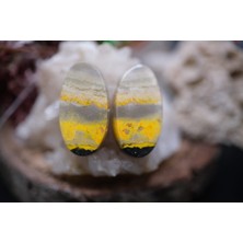 Aries 18.00CT 20.9X11.1MM Natural Bumble Bee Pair