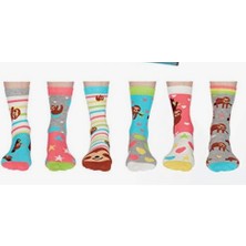 Heritage Nature Heritage Home Hn Socks Sevimli Tembel Hayvan Desenli Unisex Çorap Seti Hediye Kutulu 5'li