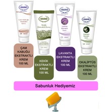 Ersağ  Çam Kabuğu-Kekik-Lavanta-Okaliptüs Ekstraktlı Krem 100 ml + (Sabunluk Hediyemiz) 378-01