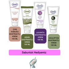 Ersağ  Çam Kabuğu-Kekik-Lavanta-Okaliptüs Ekstraktlı Krem 100 ml + (Sabunluk Hediyemiz) 378-06