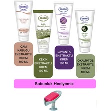 Ersağ  Çam Kabuğu-Kekik-Lavanta-Okaliptüs Ekstraktlı Krem 100 ml + (Sabunluk Hediyemiz) 378-07
