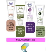 Ersağ  Çam Kabuğu-Kekik-Lavanta-Okaliptüs Ekstraktlı Krem 100 ml + (Sabunluk Hediyemiz) 394-02
