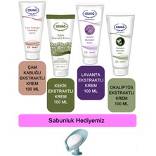 Ersağ  Çam Kabuğu-Kekik-Lavanta-Okaliptüs Ekstraktlı Krem 100 ml + (Sabunluk Hediyemiz) 378-08