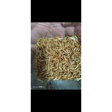 Aydın Hobi Petshop Unkurdu 50.gr