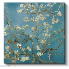 Tablonhazır Kare Kanvas Tablo Salon Tablosu Ev Dekorasyon Özel Tasarım Vincent Van Gogh Almond Blossom