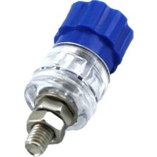 Swion IC-240B Born Klemens Büyük Boy Mavi