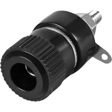 Swion IC-239 Born Klemens Büyük Boy Siyah