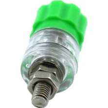 Swion IC-240B Born Klemens Büyük Boy Yeşil