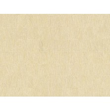Zambaiti Parati Matrix Italyan Ithal Duvar Kağıdı 88623 (5m2)