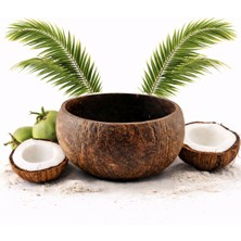 Kuru Yeşil Hindistan Cevizi Kasesi - 1 Adet – Rough – Jumbo - El Yapımı – Doğal – Salata ve Çerezlik – Mat