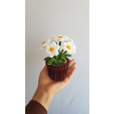 Badem Hediyecilik Dekoratif Küçük Saksı Çiçek – Ev ve Ofis Için Hediyelik