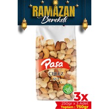 Paşa Kuruyemiş Kavrulmuş Karışık Kuruyemiş 250 gr x 3 Adet (Toplam 750 Gr)